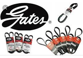 Correas gates